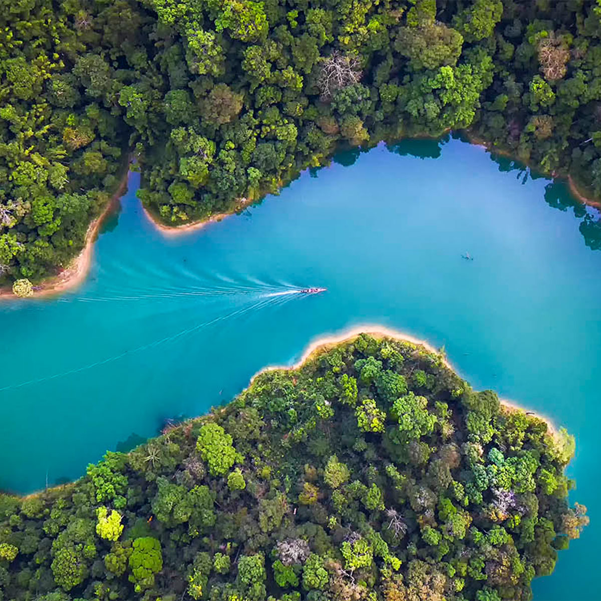 Nature landscape representing climate action