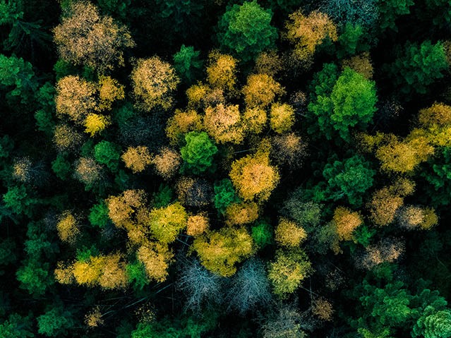 Sustainability